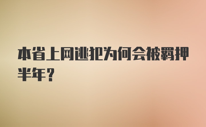 本省上网逃犯为何会被羁押半年？