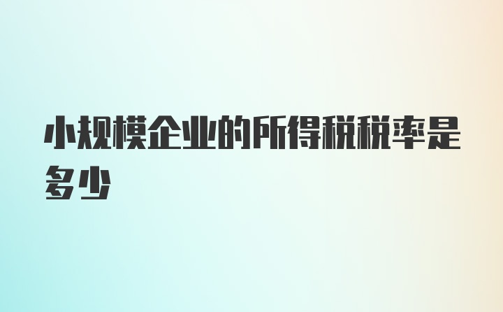 小规模企业的所得税税率是多少