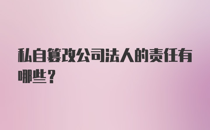 私自篡改公司法人的责任有哪些？