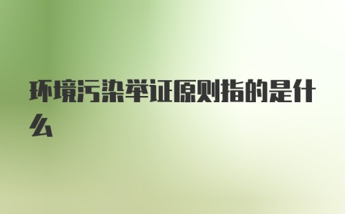 环境污染举证原则指的是什么