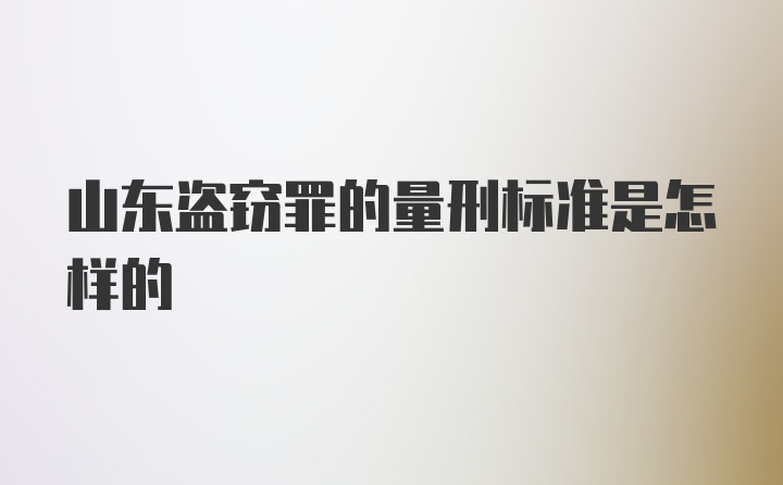 山东盗窃罪的量刑标准是怎样的