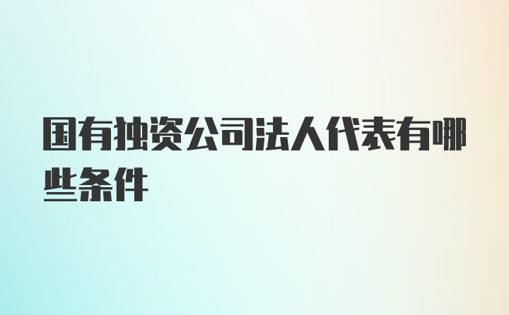 国有独资公司法人代表有哪些条件