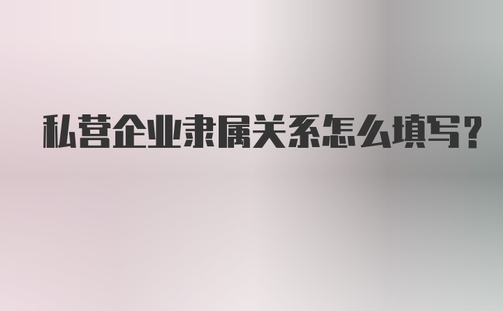 私营企业隶属关系怎么填写?