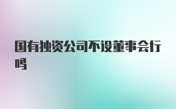 国有独资公司不设董事会行吗