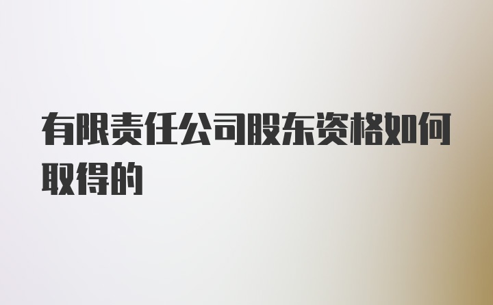 有限责任公司股东资格如何取得的