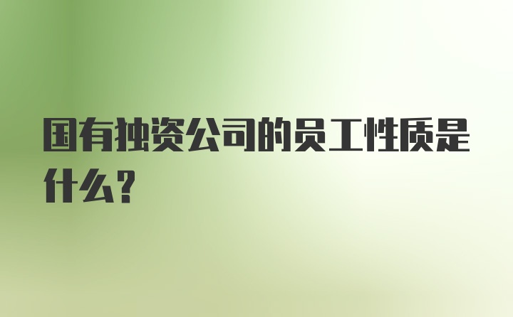 国有独资公司的员工性质是什么？