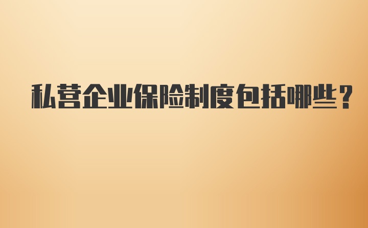 私营企业保险制度包括哪些?