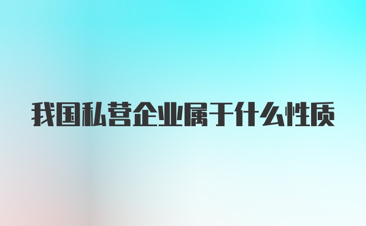 我国私营企业属于什么性质