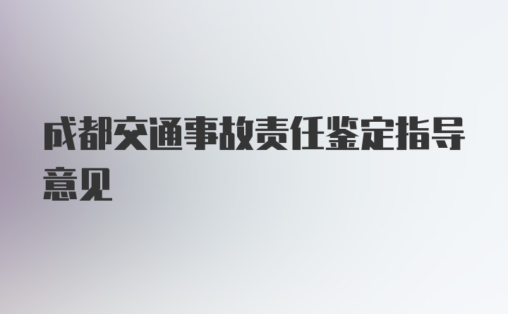 成都交通事故责任鉴定指导意见