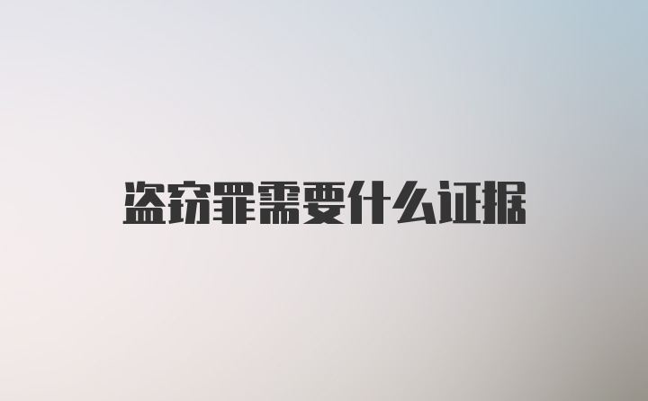 盗窃罪需要什么证据