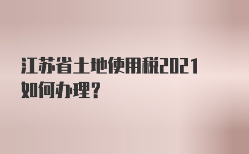 江苏省土地使用税2021如何办理？