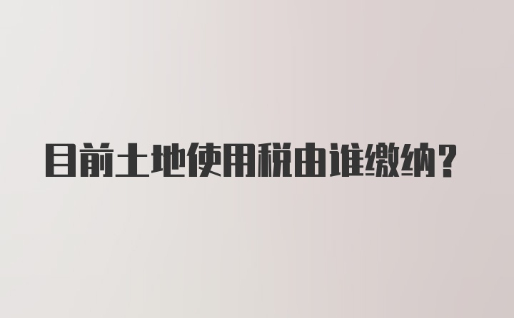 目前土地使用税由谁缴纳?