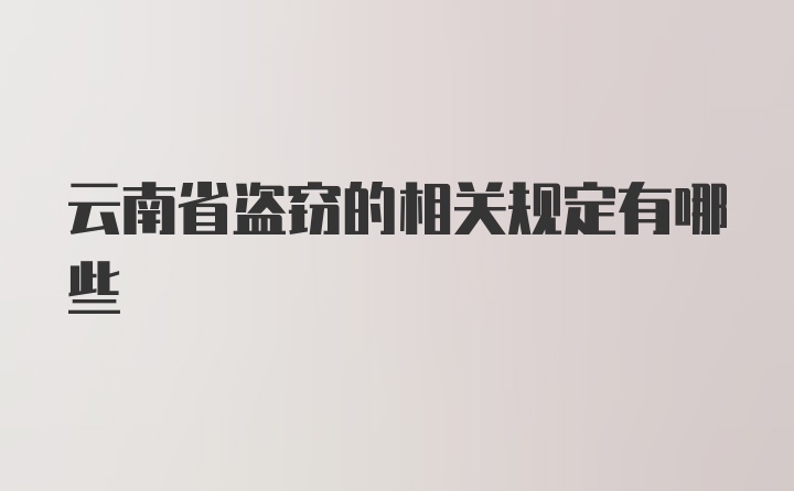 云南省盗窃的相关规定有哪些