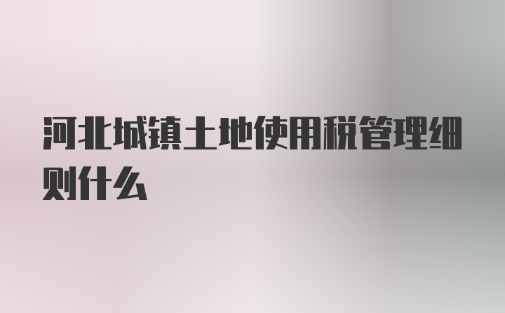 河北城镇土地使用税管理细则什么