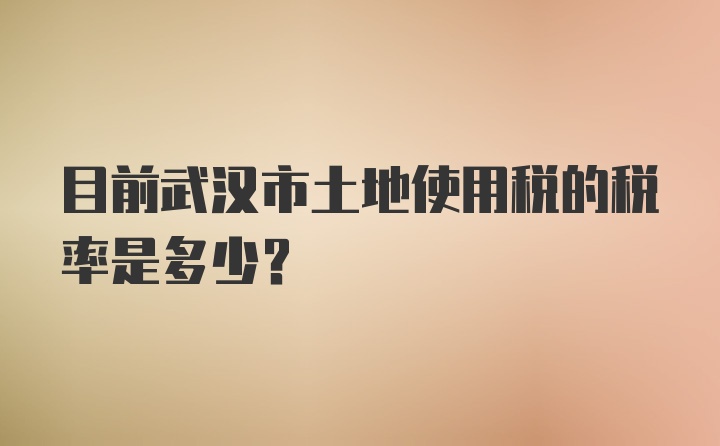 目前武汉市土地使用税的税率是多少？
