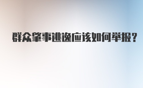 群众肇事逃逸应该如何举报？