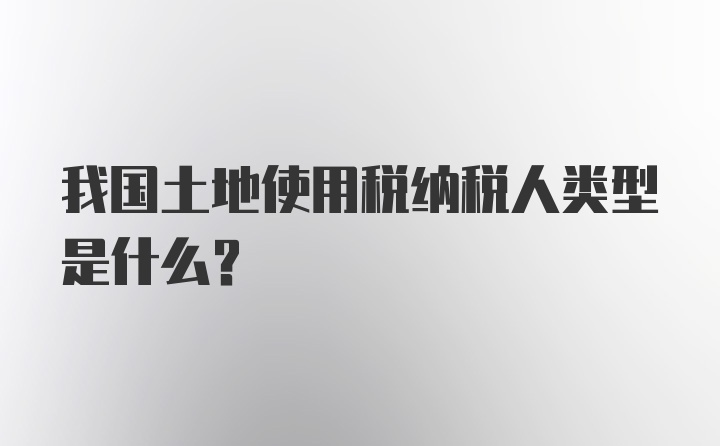 我国土地使用税纳税人类型是什么？