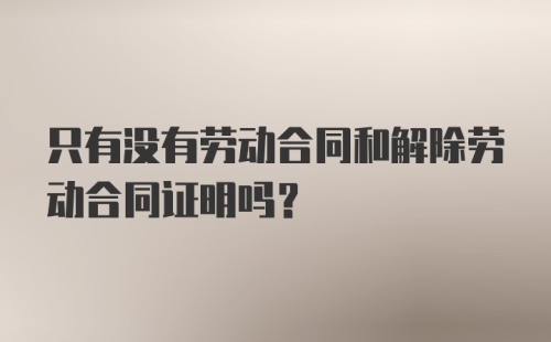 只有没有劳动合同和解除劳动合同证明吗？