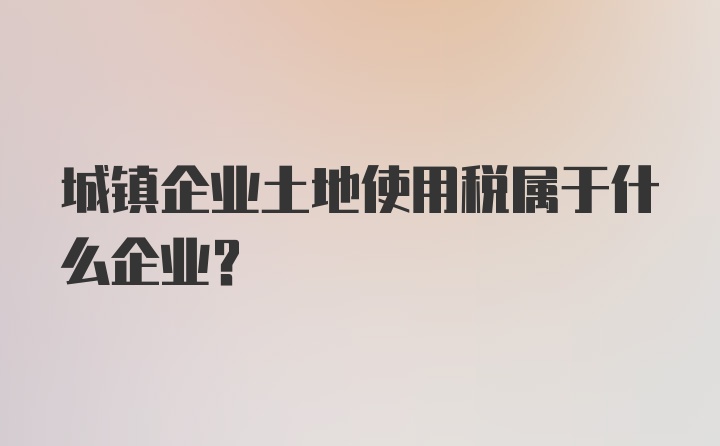 城镇企业土地使用税属于什么企业？