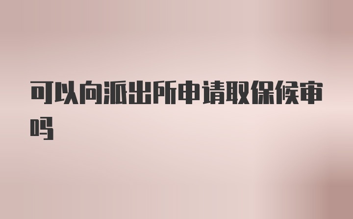 可以向派出所申请取保候审吗