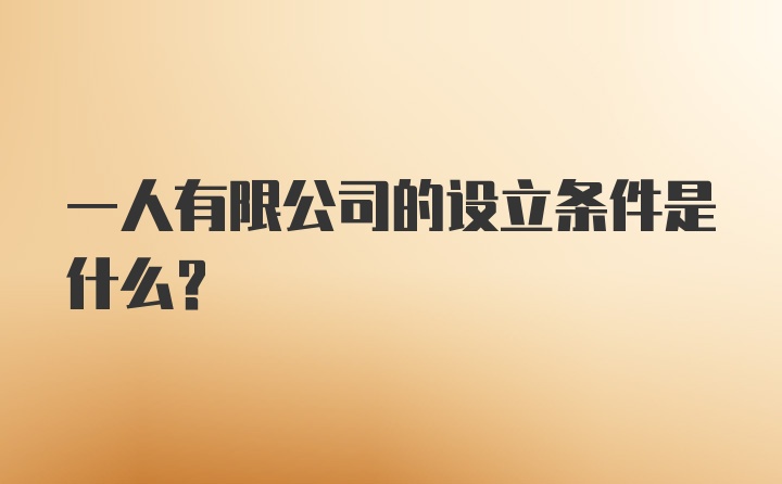 一人有限公司的设立条件是什么？