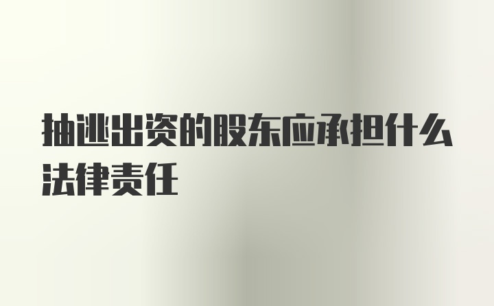 抽逃出资的股东应承担什么法律责任