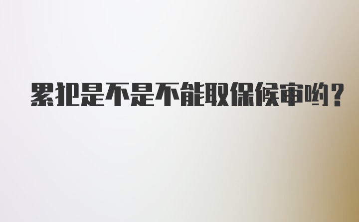 累犯是不是不能取保候审哟?