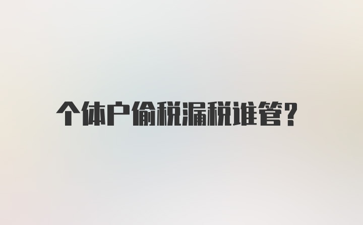 个体户偷税漏税谁管？