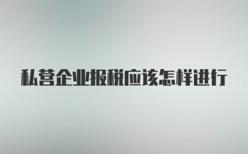 私营企业报税应该怎样进行