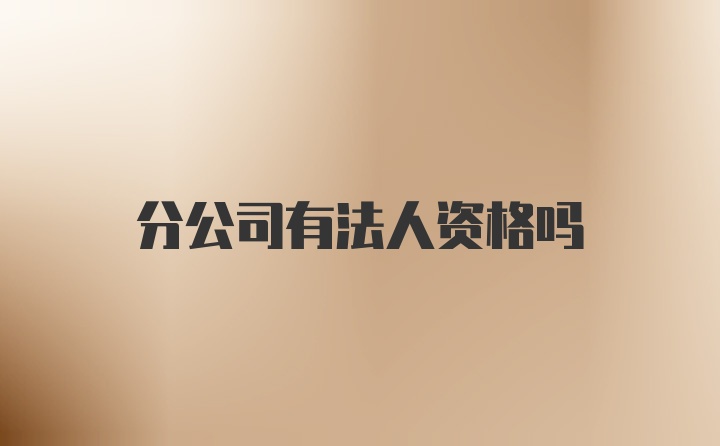 分公司有法人资格吗