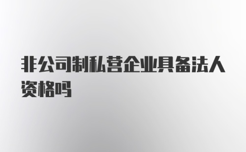 非公司制私营企业具备法人资格吗