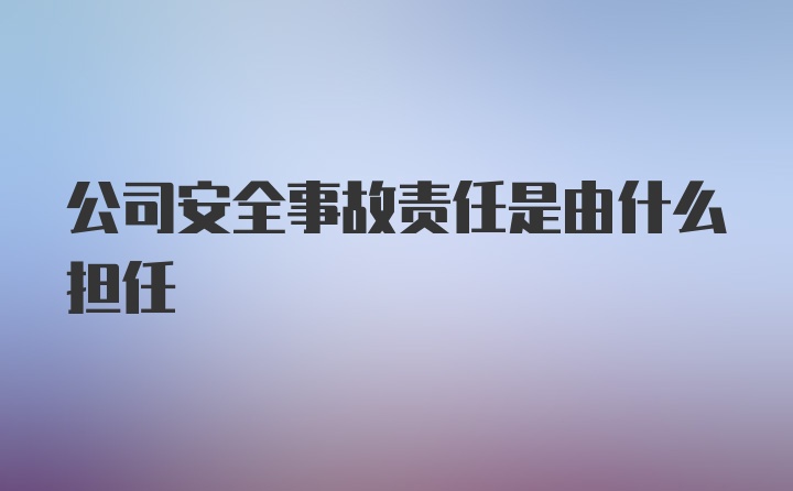 公司安全事故责任是由什么担任