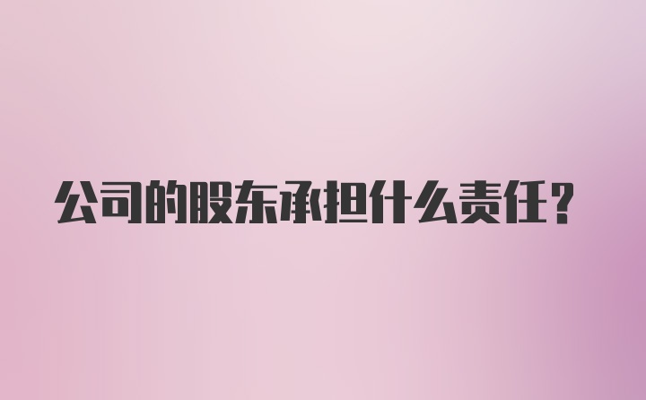 公司的股东承担什么责任？