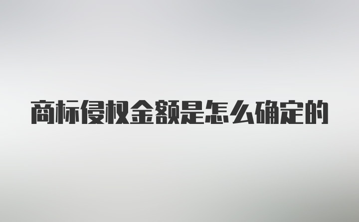 商标侵权金额是怎么确定的