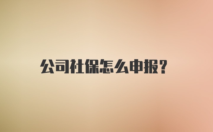 公司社保怎么申报？