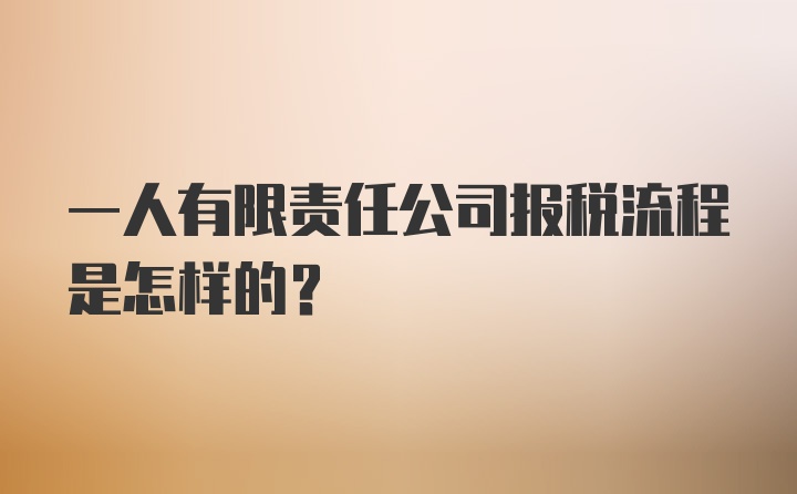 一人有限责任公司报税流程是怎样的？