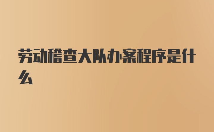 劳动稽查大队办案程序是什么