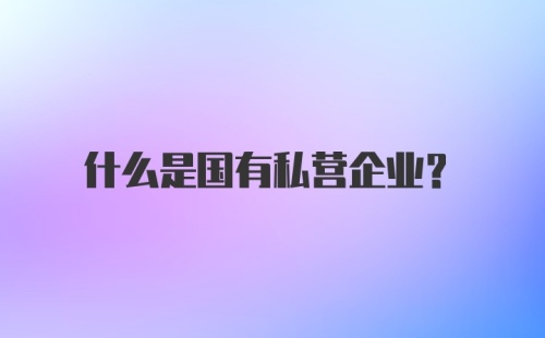 什么是国有私营企业？