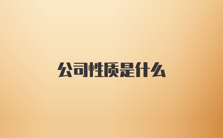 公司性质是什么