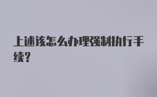 上述该怎么办理强制执行手续？