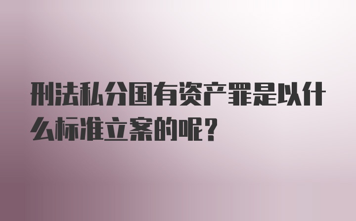 刑法私分国有资产罪是以什么标准立案的呢？