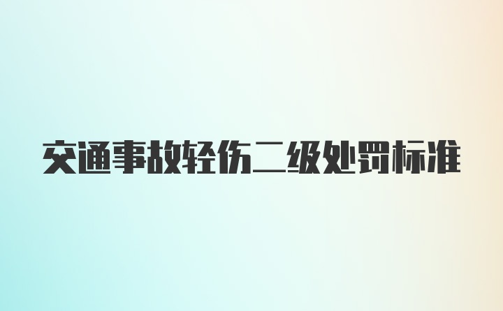 交通事故轻伤二级处罚标准