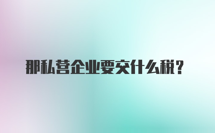 那私营企业要交什么税？