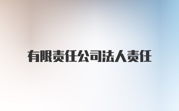 有限责任公司法人责任