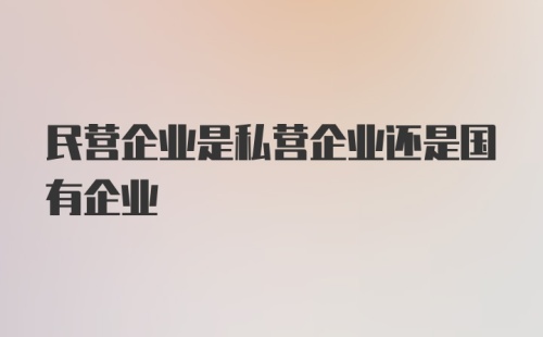 民营企业是私营企业还是国有企业