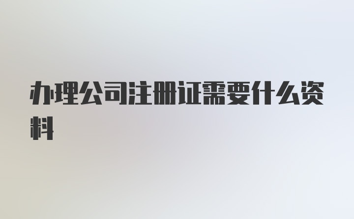 办理公司注册证需要什么资料