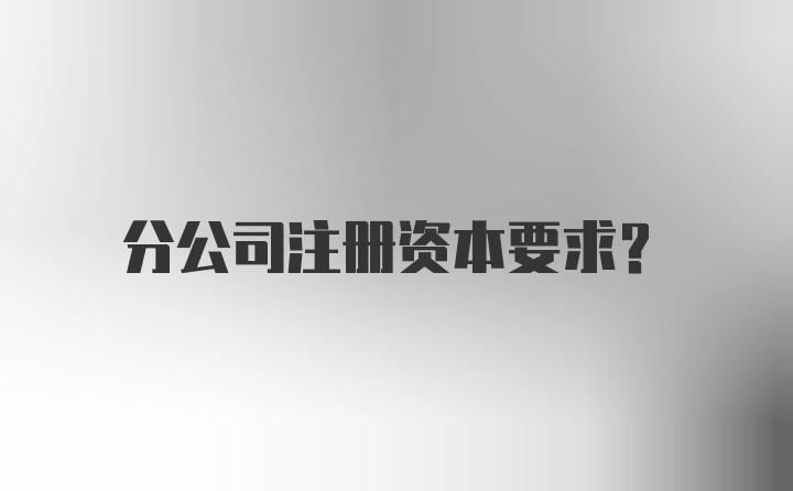 分公司注册资本要求？