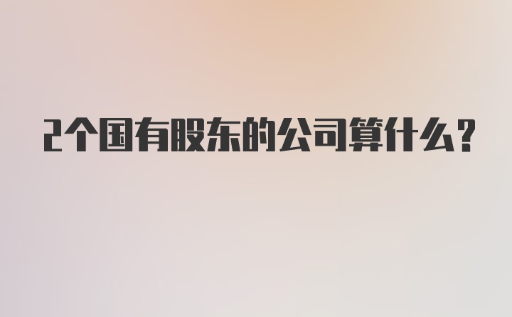 2个国有股东的公司算什么？