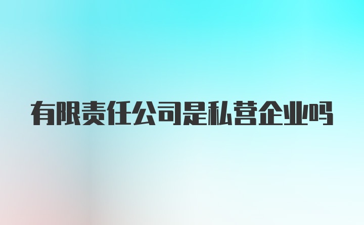 有限责任公司是私营企业吗