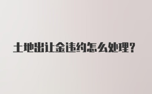 土地出让金违约怎么处理？